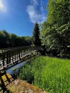 Domek w głębi lasu nad stawem
