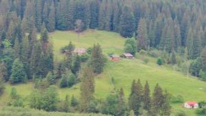 Садиба «Пасіка» відпочинок в Карпатах