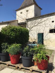 Maisons de vacances Grand gite avec piscine Le presbytere de Savignac de Duras : photos des chambres