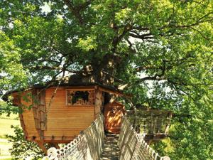 Campings Cabane Perchee dans les Arbres : photos des chambres