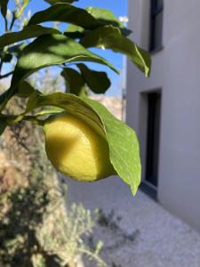 Sejours a la campagne La maison de Cesar : photos des chambres