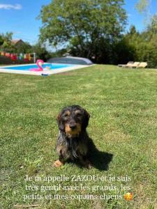 Appartements Logement independant Piscine et Jardin : photos des chambres