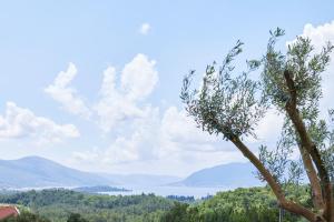 Kotor Rooftop Apartments