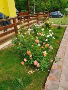 Pensiunea La Taica Iacob