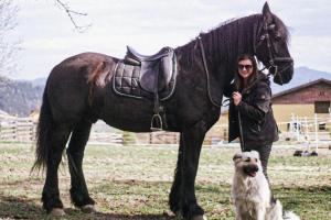 Andis Reiterstüberl, Rainweg 1 , 9311 Überfeld