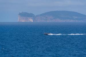 Sea front terrace Marco Polo img32