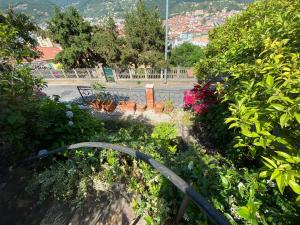 Villa igea