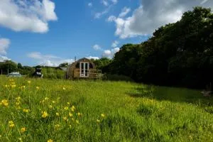 Beautiful 1 bed Glamping pod in Battle - Crowhurst