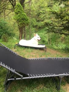 Spacious nest between Maribor and Celje NiceHead