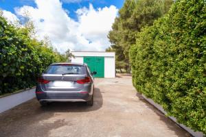 Apartamento Superior de 2 dormitorios