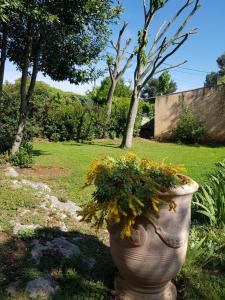 Appartements Cap au Sud Sweet home : photos des chambres