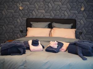 Maisons de vacances Gite Le Renouveau avec jacuzzi privatif : photos des chambres