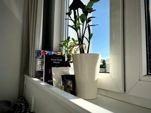 Apartament Gdańsk nad morzem 2 sypialnie