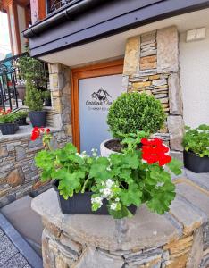 Apartament Gazdy