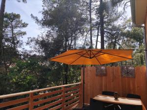 Lodge 2 étoiles la tête dans les pins les pieds dans l eau