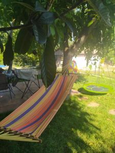 Apartment PARENZANA, little row HOUSE with big green yard in central Istria