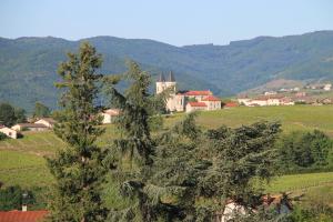 B&B / Chambres d'hotes Les Glycines - Domaine Gilles Coperet : photos des chambres