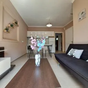 Μπουκαμβίλια - Bougainvillea - Évyiros