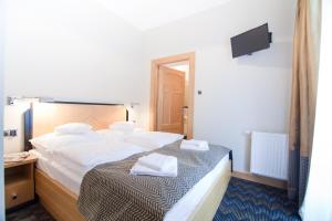 Villa Alina Medical SPA