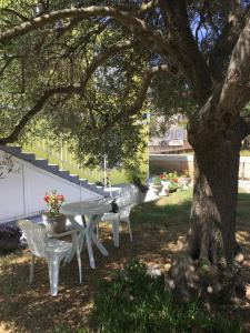 Apartments Monika Bibinje