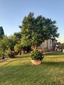 Sunset Valley - A Tuscan Experience