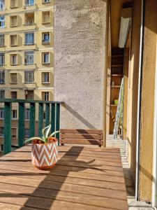 Appartements La Caisserie Vieux-port / une chambre et balcon : photos des chambres