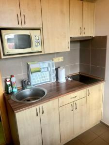 Ubytování Vlachovice u Nového Města na Moravě