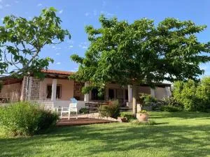 Countryside villa in Sardinia - Triei