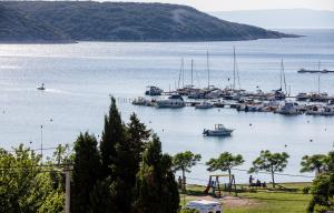 Apartments Silvana in Kampor