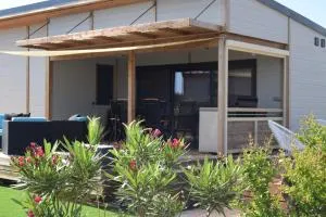 Charmant CHALET - Pinet