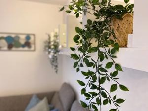 Apartment above Lake Bled