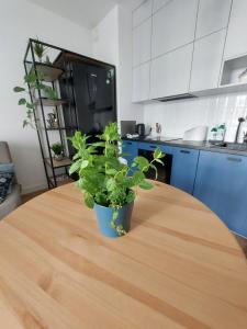 Apartament Zajezdnia Wrzeszcz