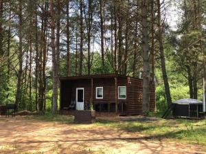 Forest cabin