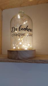 NATURA SERENA GITE GINKGO e