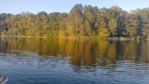 Oleandria -,,Domek Pokrzywa"