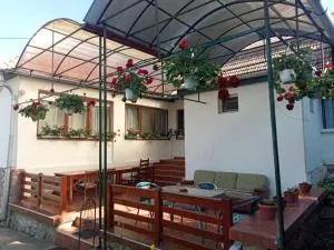 Elza Guesthouse - Colţeşti