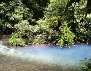 Cabinas El Pilón Río Celeste