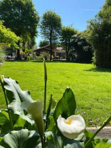 Maisons de vacances Villa piscine chauffee & spa sur le Bassin d Arcachon - proche plage et ocean : photos des chambres