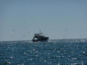 B&B / Chambres d'hotes La Belle Relax - calme et tranquillite assures - 2 personnes : photos des chambres