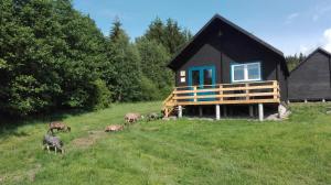 Dziewięćsił Blisko ziemi Góry Stołowe Duszniki Zdrój