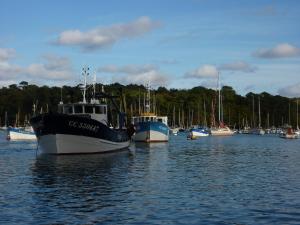 B&B / Chambres d'hotes La Belle Relax - calme et tranquillite assures - 2 personnes : photos des chambres