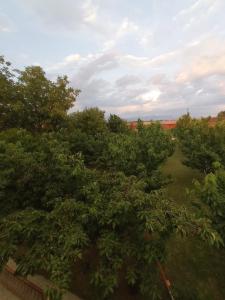 Airport home Radinovic