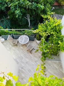 Appartements Pink Tropical Champagne : photos des chambres