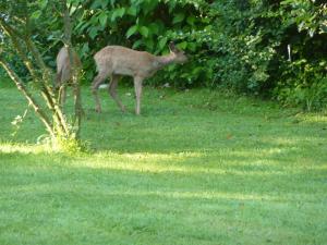 B&B / Chambres d'hotes La Belle Relax - calme et tranquillite assures - 2 personnes : photos des chambres