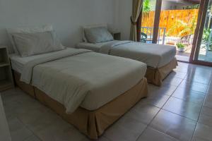 Isla Tortuga Diving & Hostel