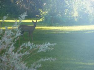 B&B / Chambres d'hotes La Belle Relax - calme et tranquillite assures - 2 personnes : photos des chambres