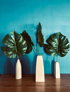 Wind Residence Designer Appt overlooking Taal lake - Tower 1 - 42sqm