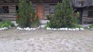 Parador Arew La Energa Que Impulsa El Alma