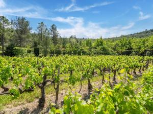 Maisons de vacances Natural stone house in stunning location with small beach at 300 metres : Maison de Vacances 2 Chambres