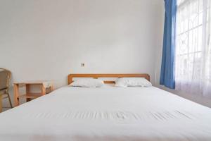 Pall Inn Puncak Mitra RedDoorz